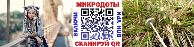 как найти   Перевоз  Псилоцибиновые грибы прущие грибы 